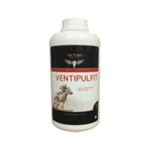 Ventipulfit